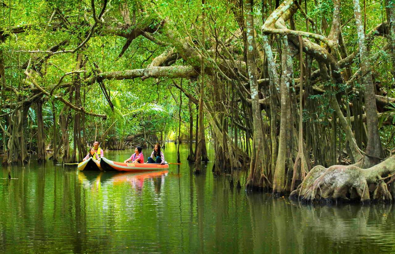 Canoeing on the Sang Nea River